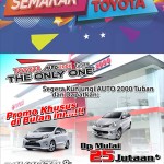 newbi2000