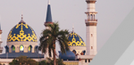 bannerTG