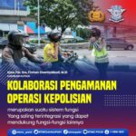 292337719_338712211793526_4269462132983051418_n