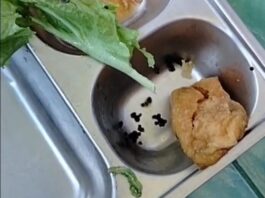 Ulat Hidup Ditemukan dalam Menu MBG di MI Falahiyah Kerek