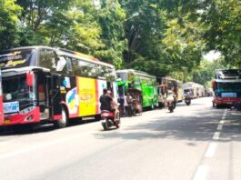 Lautan Bus Ziarah Wali Songo Padati Tuban, Parkiran Sunan Bonang Overload