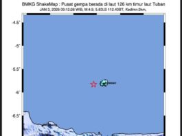 Gempa M4,9 Guncang Tuban, BMKG Pastikan Tidak Berpotensi Tsunami