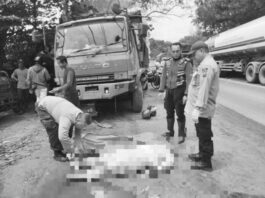 Pengendara Motor Tewas Usai Hantam Truk Parkir di Jalan Tuban–Bancar, Jalan Berlubang Diduga Jadi Pemicu