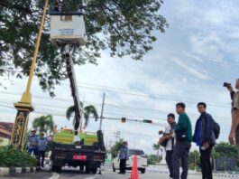Tak Indahkan Peringatan, DLHP Tuban Tertibkan Kabel Fiber Optik Ilegal