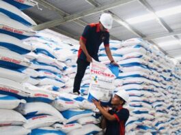 Musim Tanam ke Dua, Petani Kerek Kembali Menjerit Soal Pupuk Subsidi