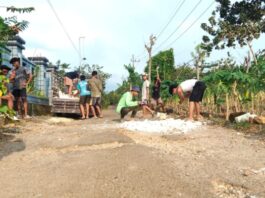 Bangun Deso Dipertanyakan, Jalan Rusak di Dusun Selang Diperbaiki Swadaya Para Remaja