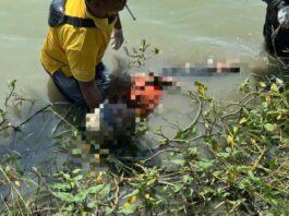 Mayat Pria Lansia Ditemukan Mengambang di Tambak Widang