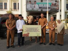 Tuban Kembali Terima Sapi Kurban Presiden, Beratnya Capai 1.004 Kilogram