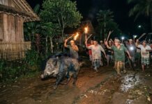Warga Mliwang Tuban Geger Kemunculan Hewan Diduga Menyerupai Babi