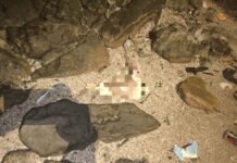 Geger! Potongan Kaki Manusia Ditemukan di Tepi Laut Kradenan Tuban, Identitas Pemilik Masih Misterius